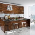 Ebony Modern Door Style