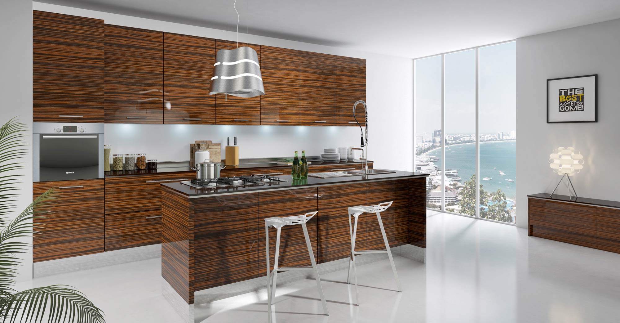 Ebony Modern Door Style
